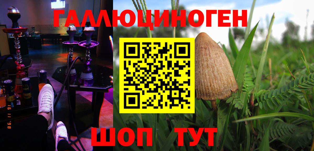 где найти наркотики  Вход с VPN  Коркино  Галлюциногенные грибы Psilocybine cubensis 