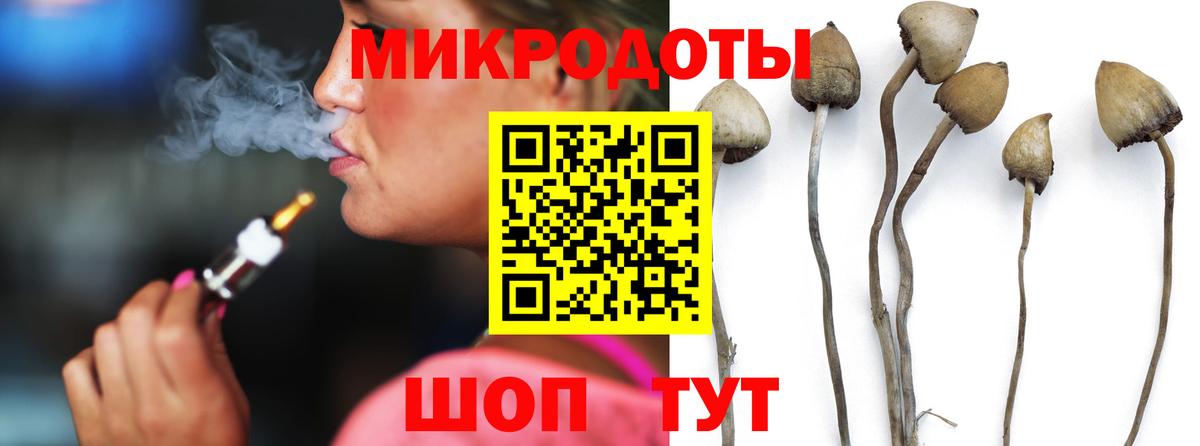 Галлюциногенные грибы Psilocybine cubensis Коркино